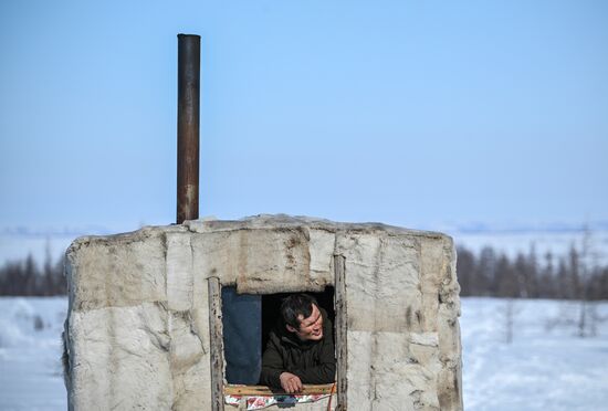 Russia Reindeer Breeding