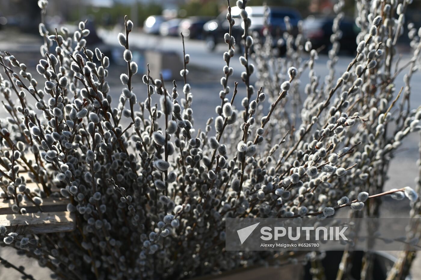 Russia Palm Sunday