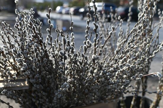 Russia Palm Sunday