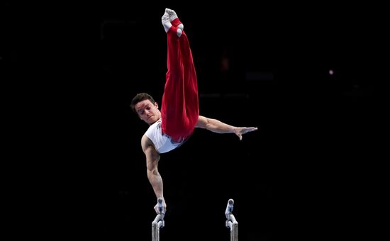 Switzerland Artistic Gymnastics European Championships