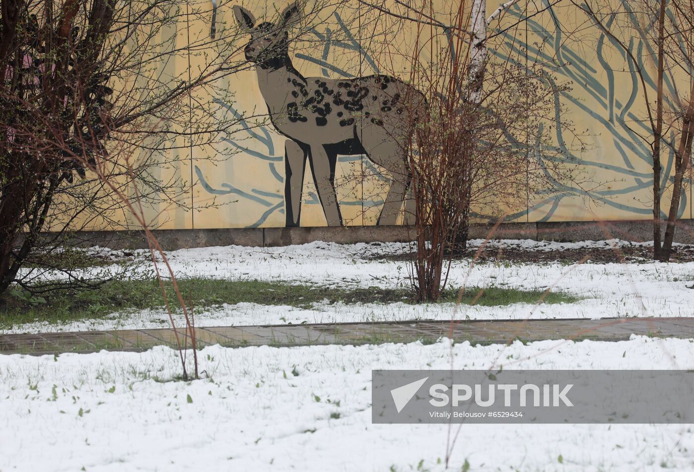 Russia Daily Life