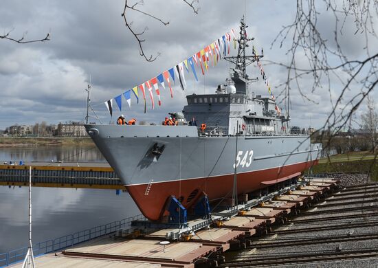 Russia Pyotr Ilyichev Minesweeper