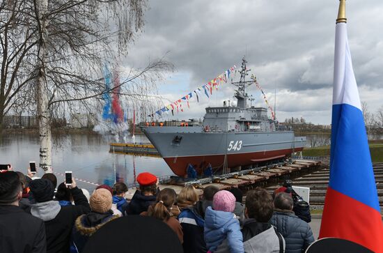 Russia Pyotr Ilyichev Minesweeper