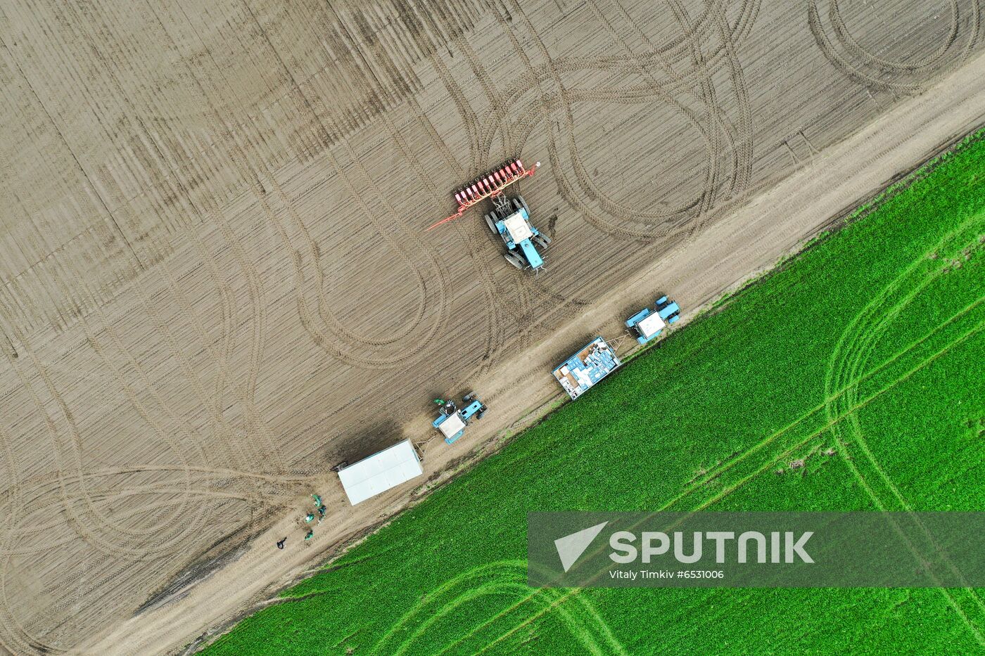 Russia Sowing