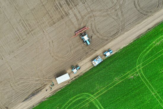Russia Sowing