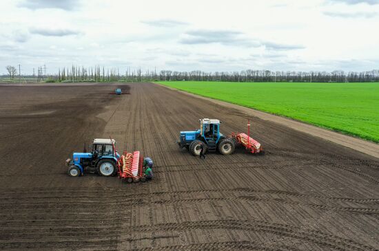 Russia Sowing