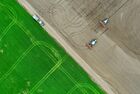An aerial view shows sugar beet sowing underway in fields of the Krasnodar region, in Russia. Location: Russia, Krasnodar region. Author: Vitaly Timkiv/Sputnik. Russia Sowing