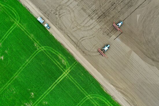 Russia Sowing
