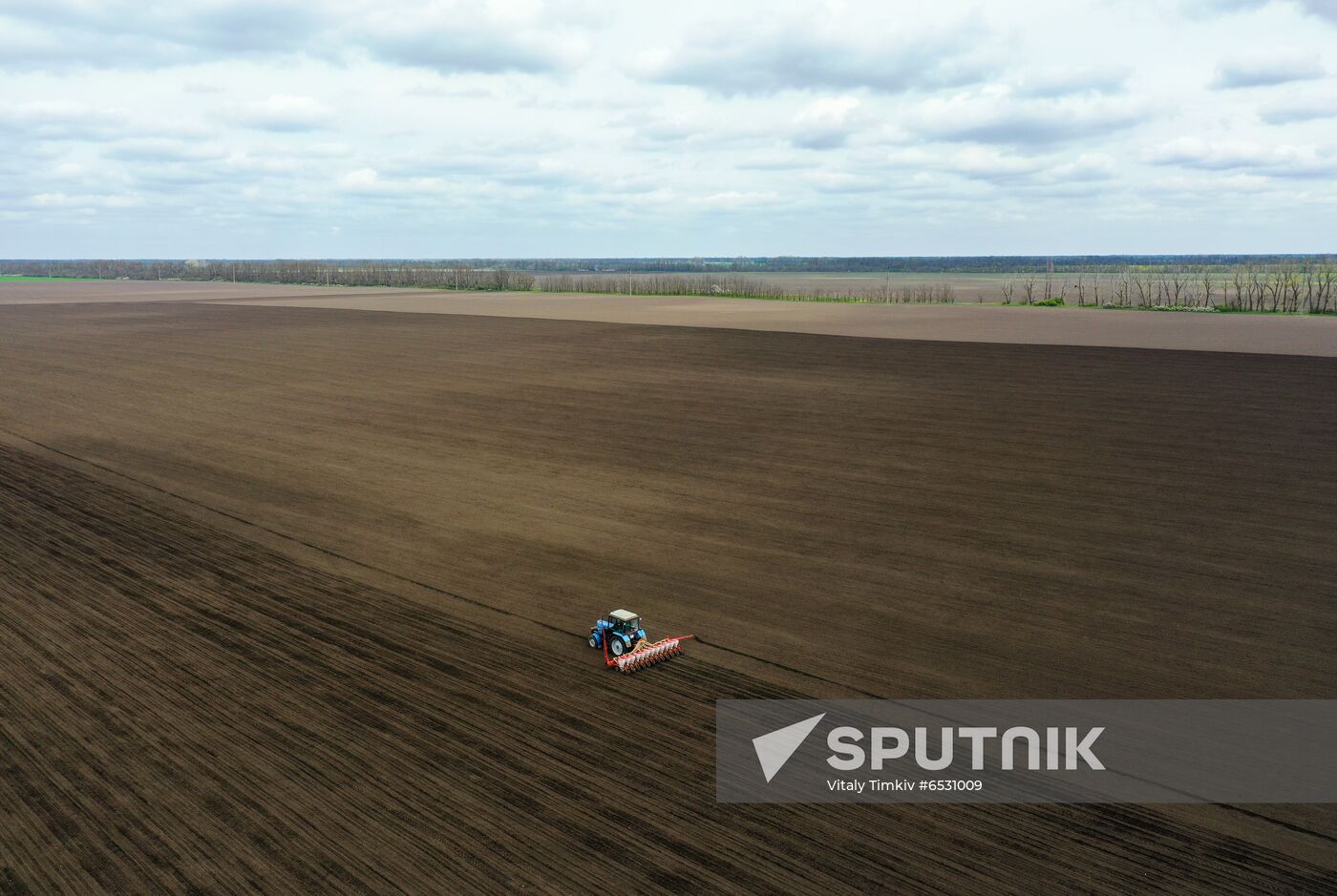 Russia Sowing