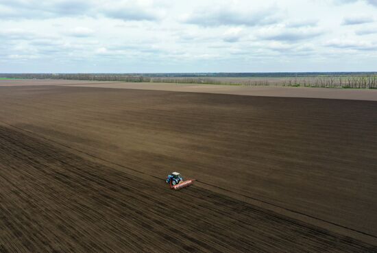 Russia Sowing