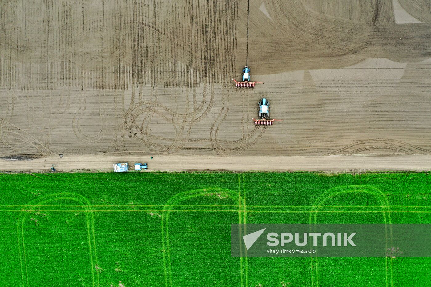 Russia Sowing