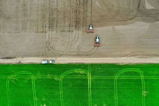 Russia Sowing