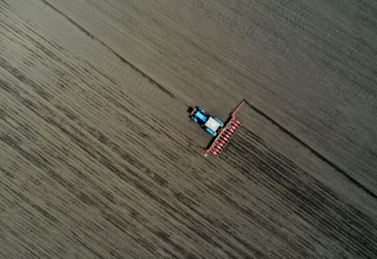 Russia Sowing