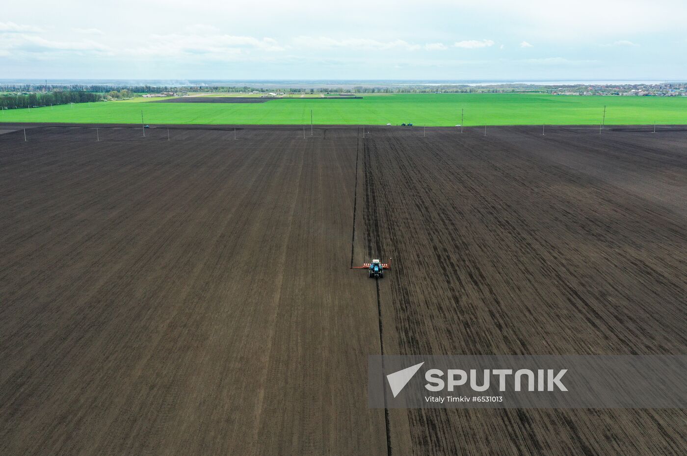 Russia Sowing