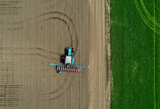 Russia Sowing