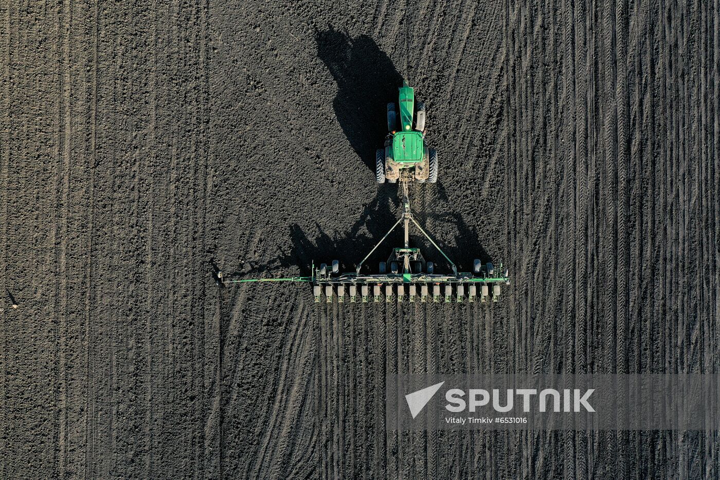 Russia Sowing