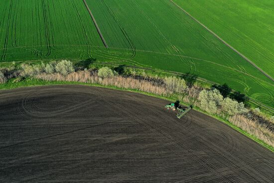 Russia Sowing