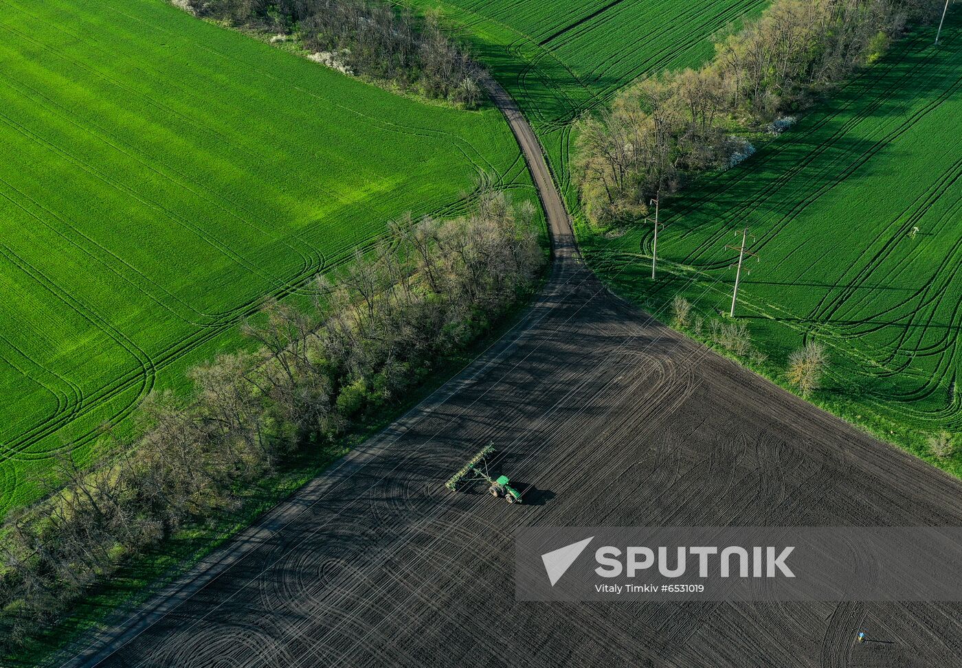 Russia Sowing