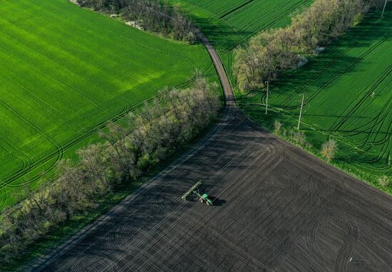 Russia Sowing