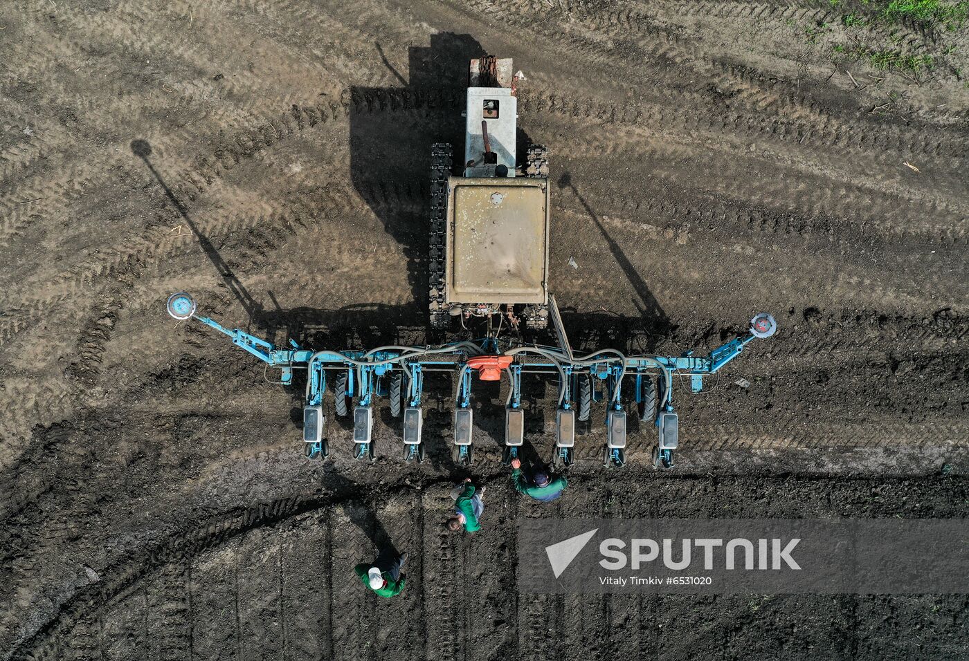 Russia Sowing