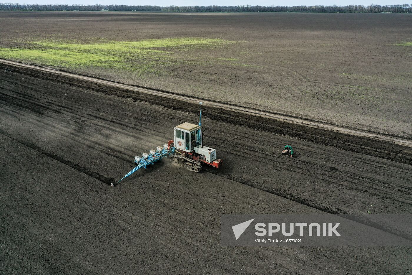 Russia Sowing
