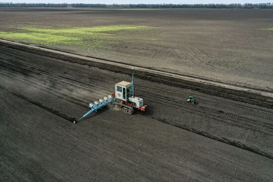 Russia Sowing