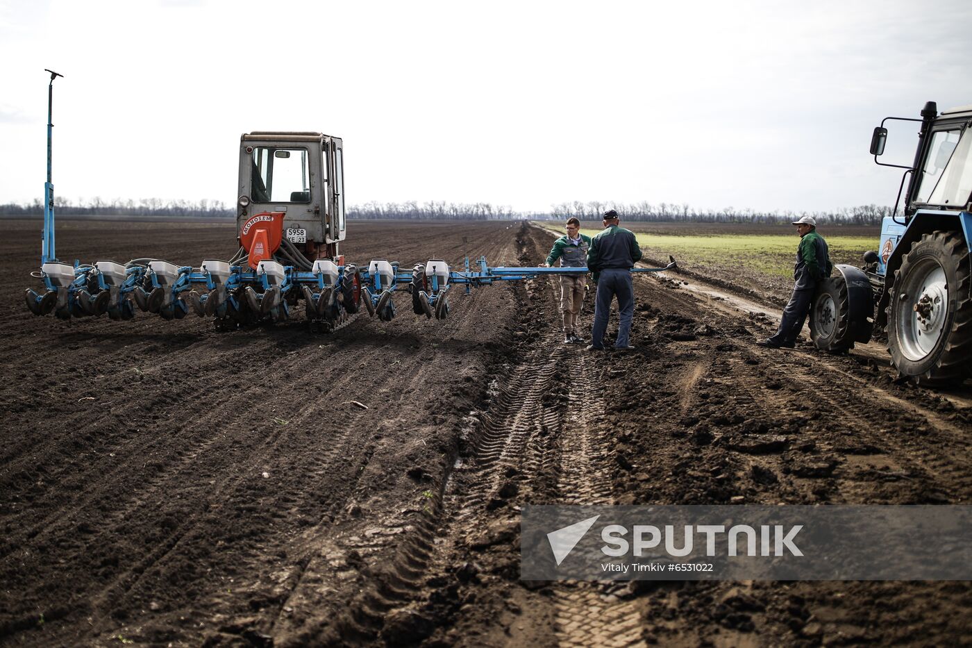 Russia Sowing