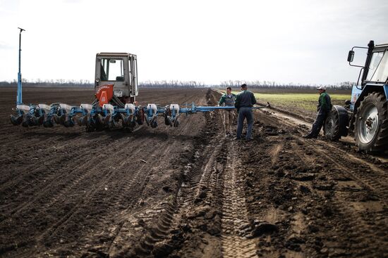 Russia Sowing