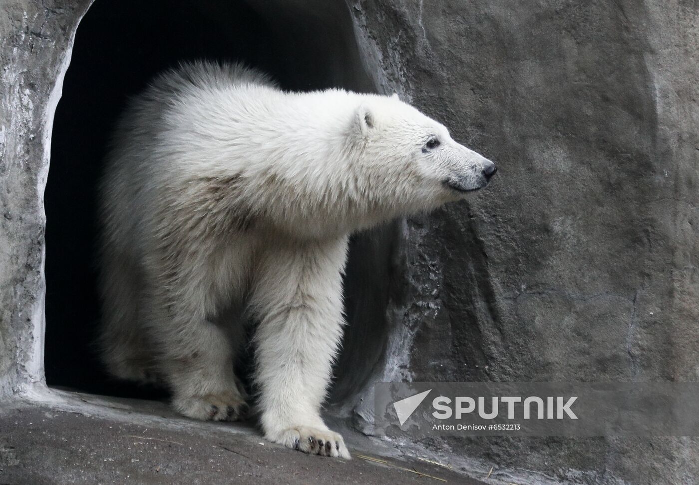 Russia Zoo