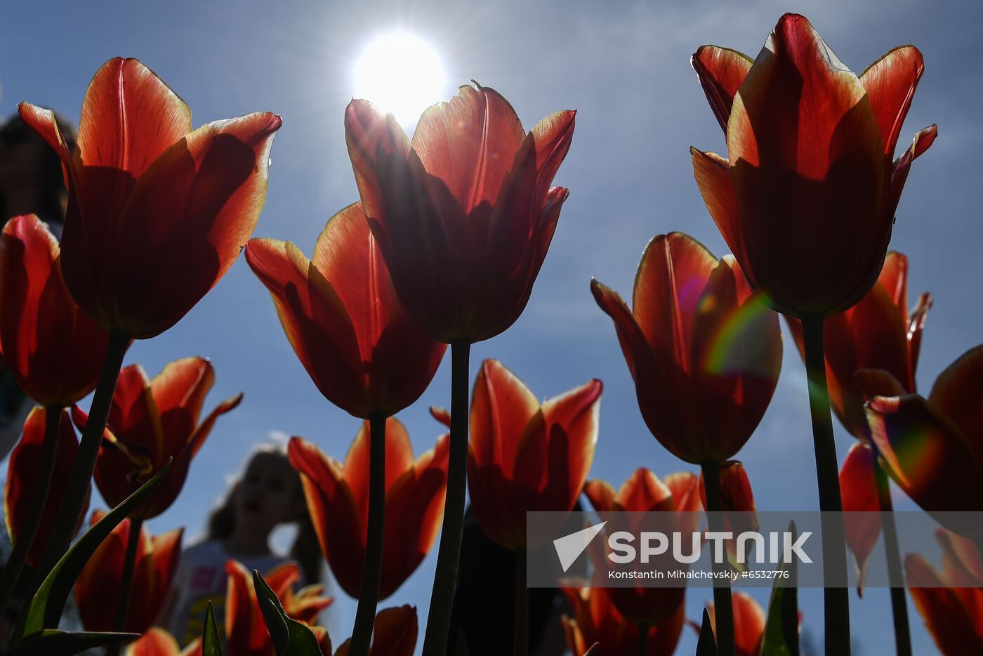 Russia Crimea Flower Show