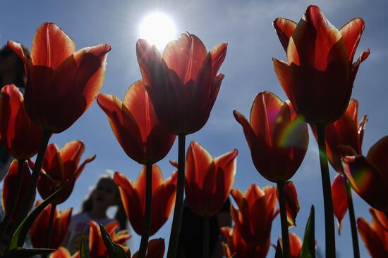 Russia Crimea Flower Show