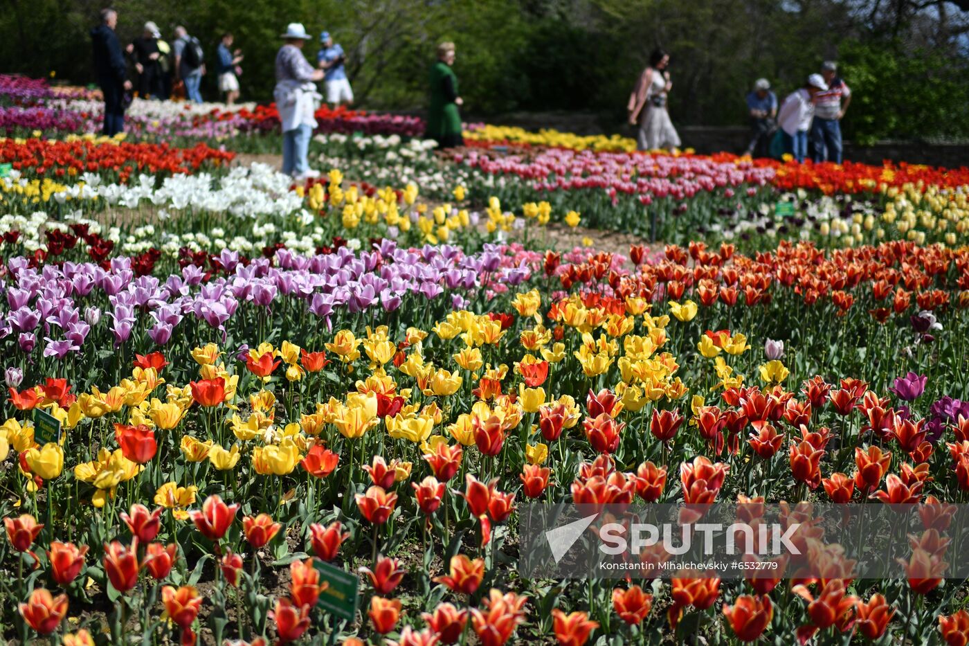 Russia Crimea Flower Show