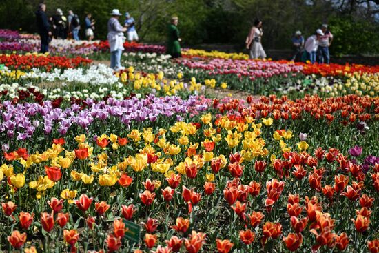 Russia Crimea Flower Show