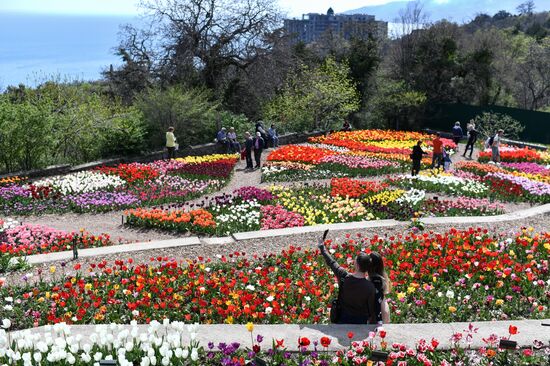 Russia Crimea Flower Show