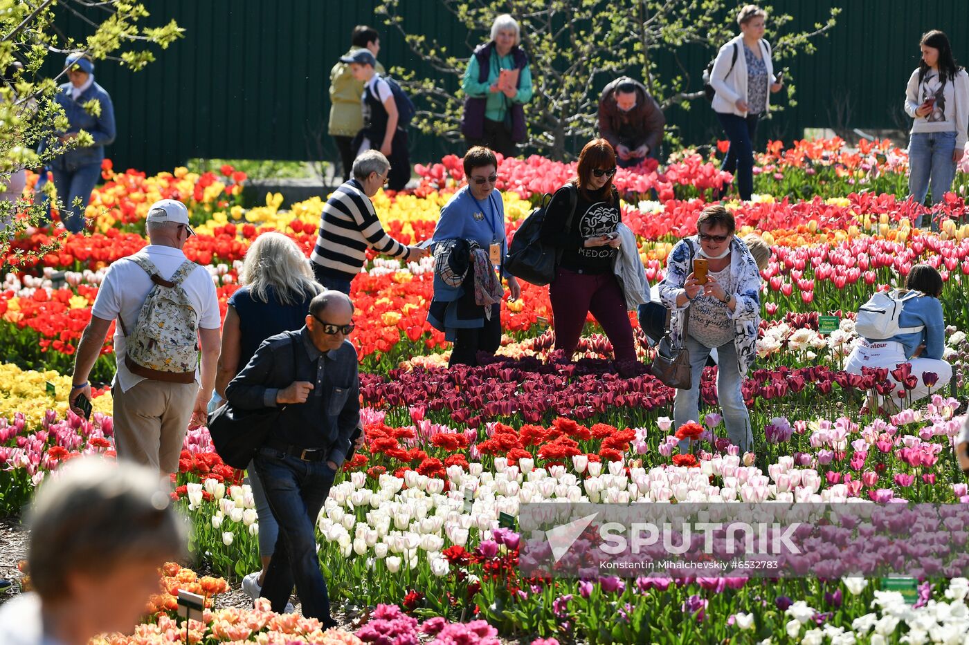 Russia Crimea Flower Show