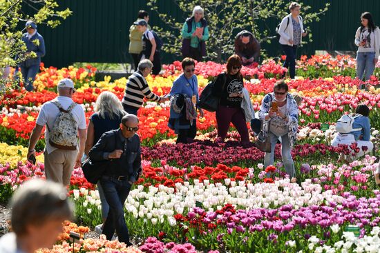 Russia Crimea Flower Show