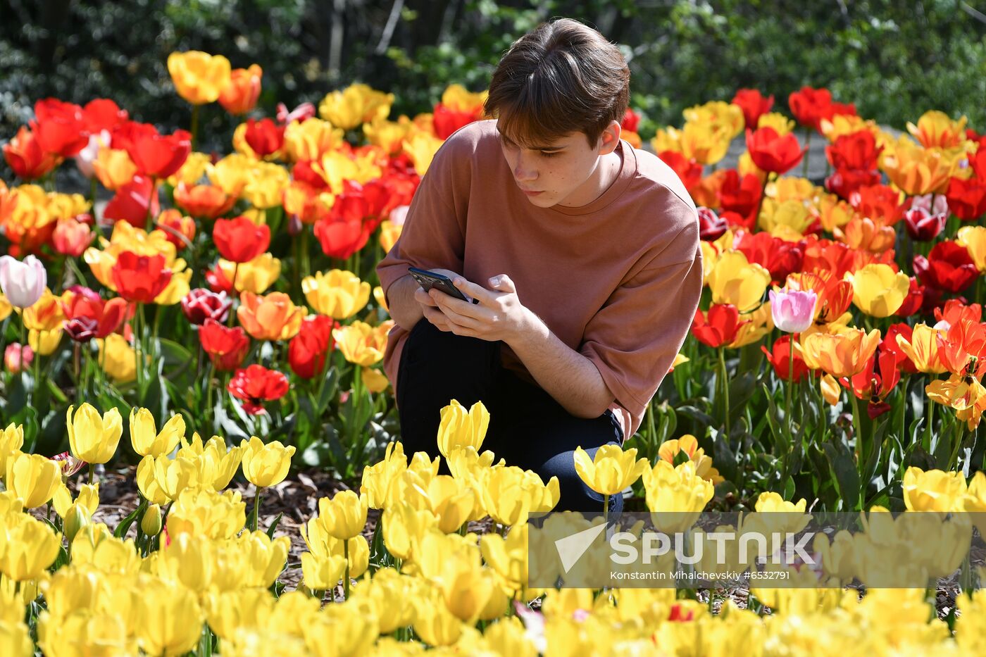 Russia Crimea Flower Show