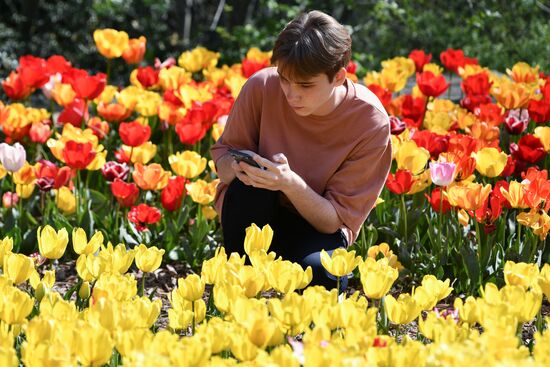 Russia Crimea Flower Show