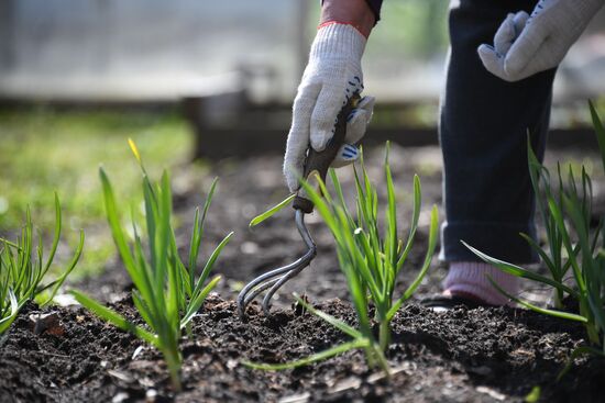 Russia Countryside Life