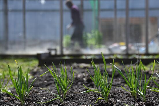 Russia Countryside Life