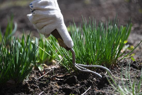 Russia Countryside Life