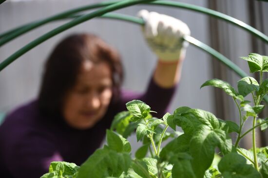 Russia Countryside Life