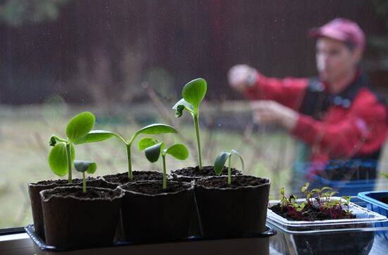 Russia Countryside Life