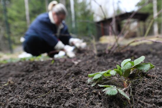 Russia Countryside Life