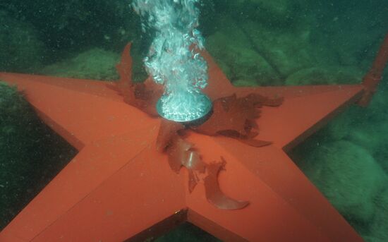 Russia Divers Victory Day Event