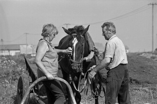 Family farm in Estonia