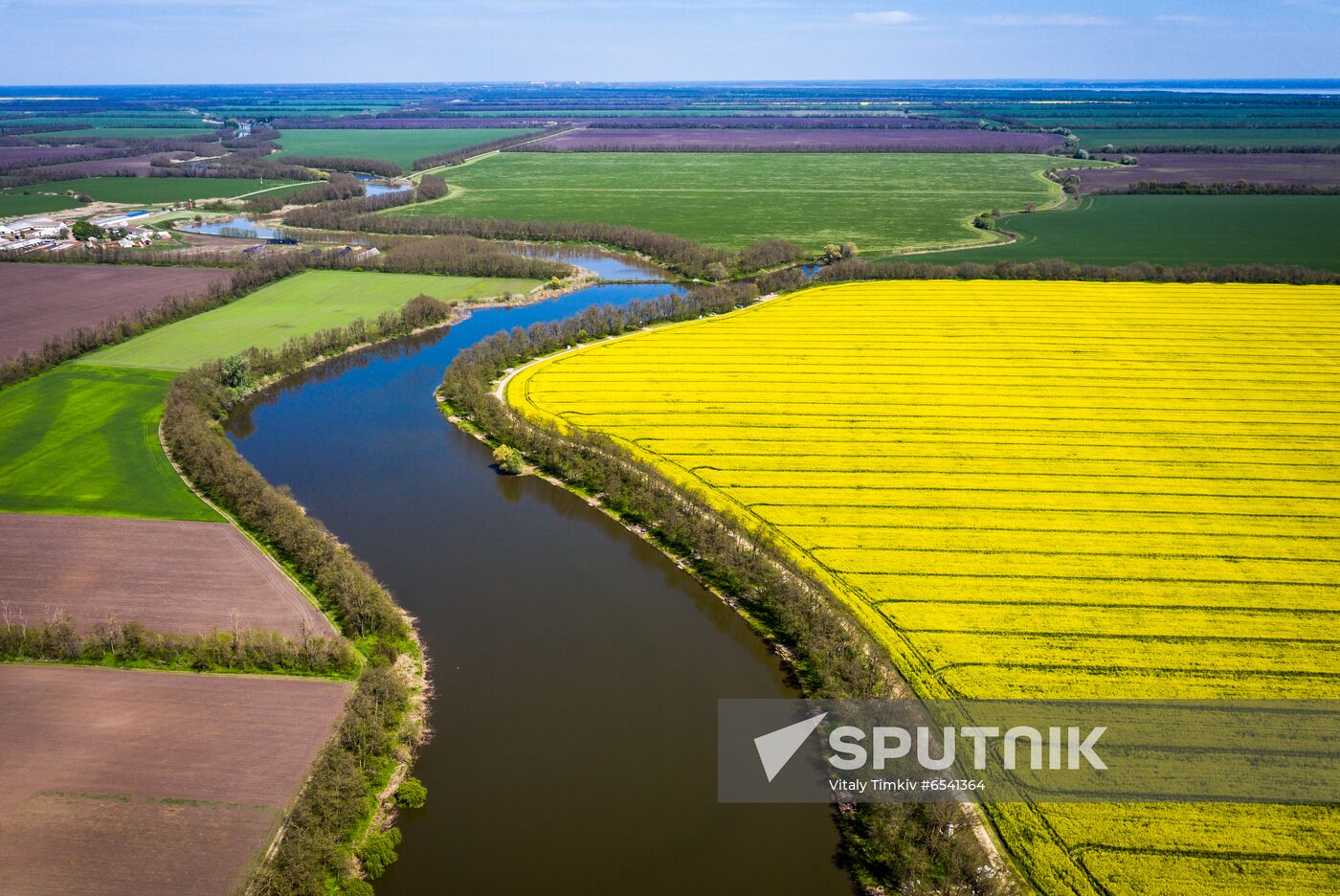 Russia Rapeseed Blossom