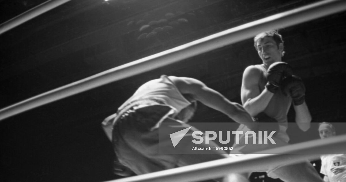 Box fight Sputnik Mediabank