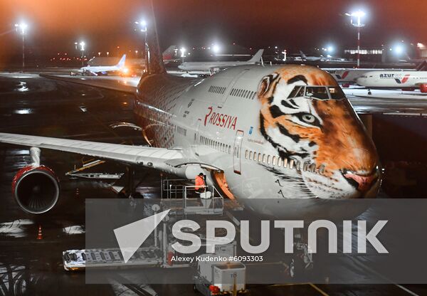Russia Tiger Plane