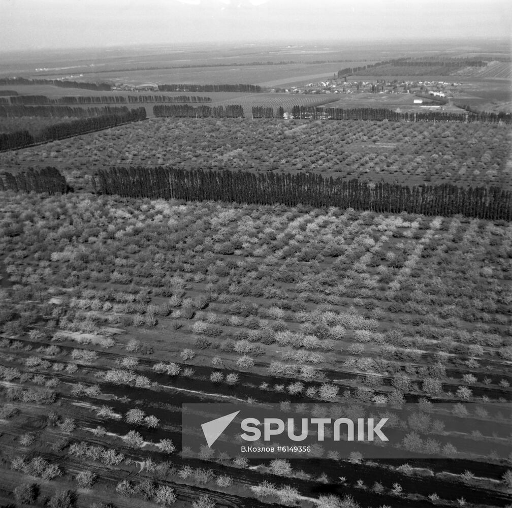 Lenin collective farm in Krasnodar Territory | Sputnik Mediabank